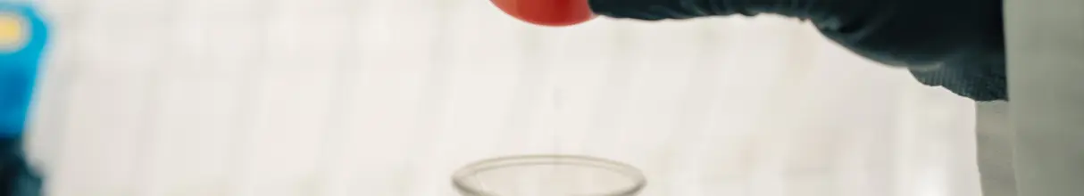 Advice and customization