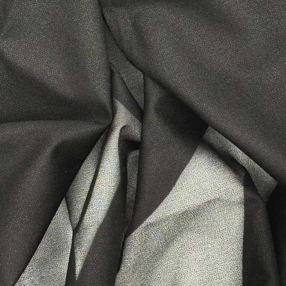 Termoadhesivo Transparente Negro Tela 21 g/m² - DHJ, Lainière Paris - 3