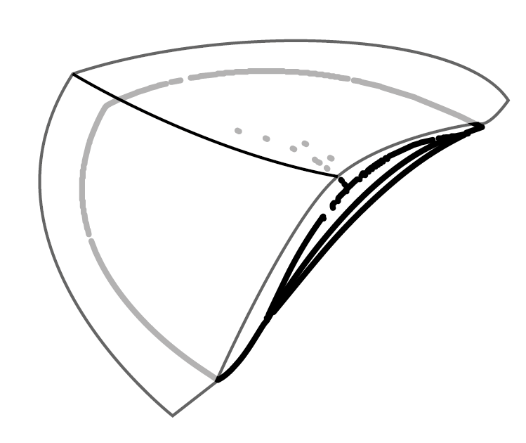 Tailored shoulder pad